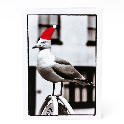 Festive Seagull Card